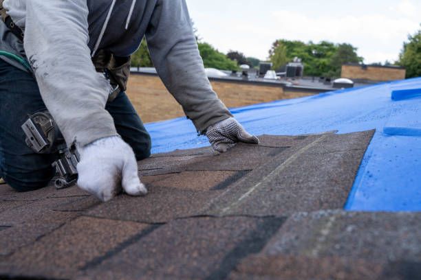 Best Storm Damage Roof Repair  in Lakesite, TN